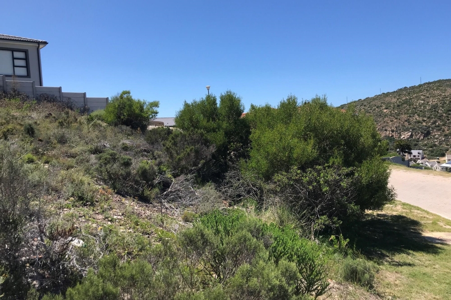 0 Bedroom Property for Sale in Island View Western Cape